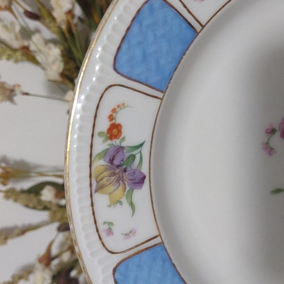 Antique Haas & Czjzek H.C. Schlaggenwald Black Knight Plate Gold Trim - Picture 8 of 11